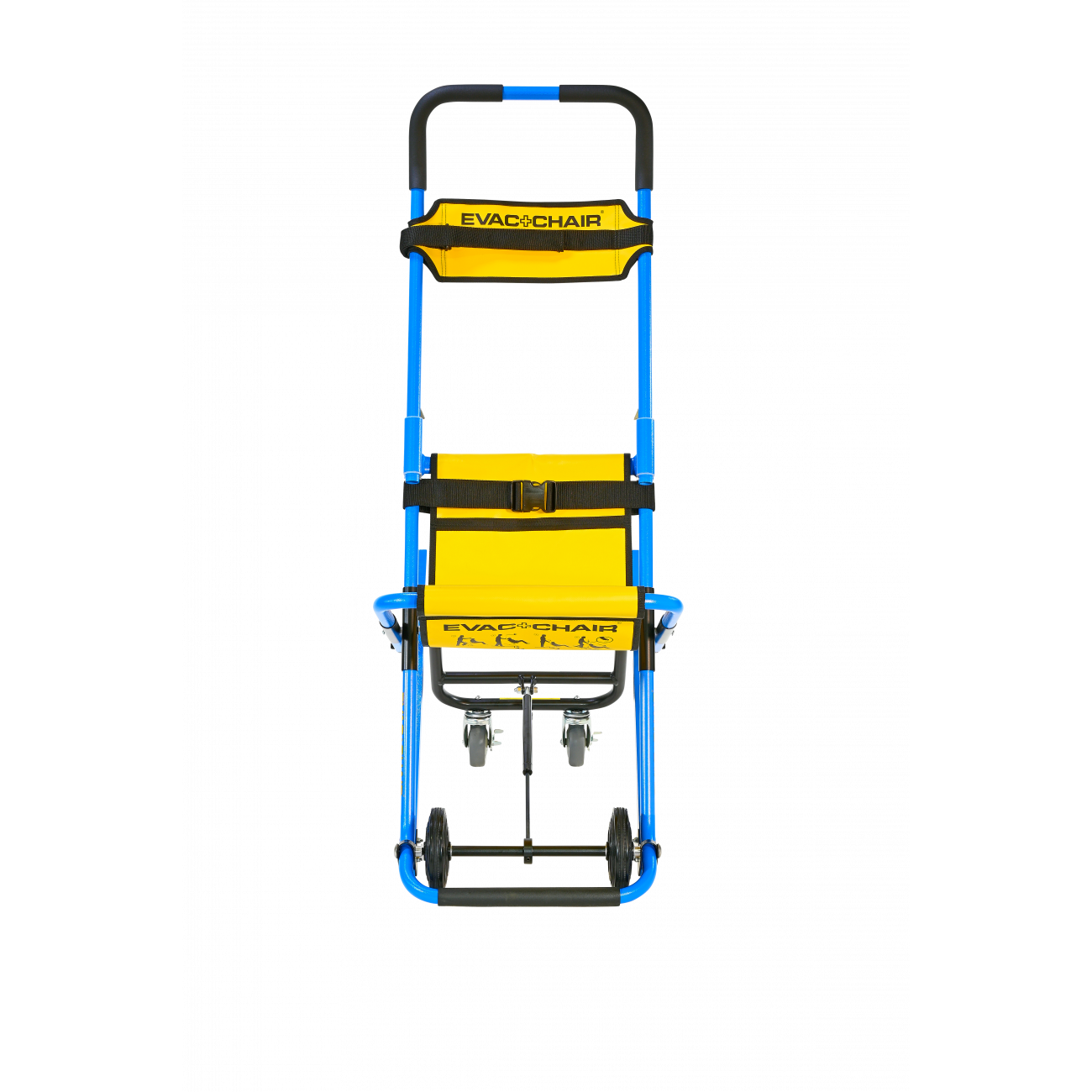 300-amb-front-ver-2